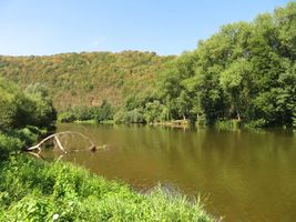 Berounka 2 - Karlštejn pod Klučickým jezem 7.8.18 (1).jpg
